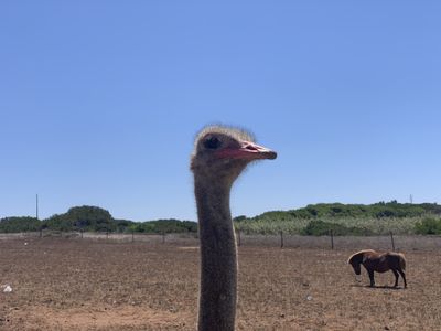 Photo taken in Porto Covo, Setúbal, Portugal