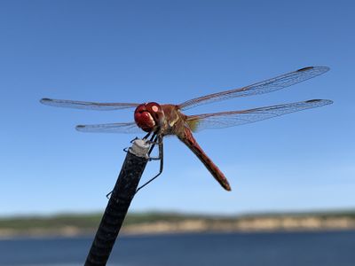 Photo taken in Alcácer do Sal, Setúbal, Portugal