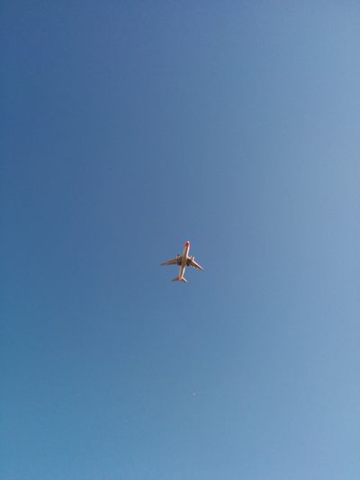 Photo taken in Pinheiro Manso, Porto, Portugal