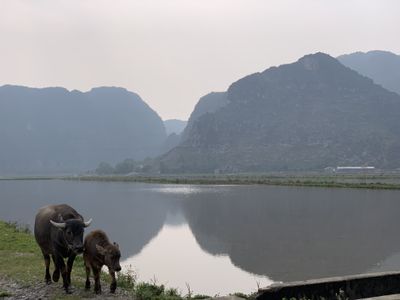 Photo taken in Ninh Bình, Ninh Bình Province, Vietnam