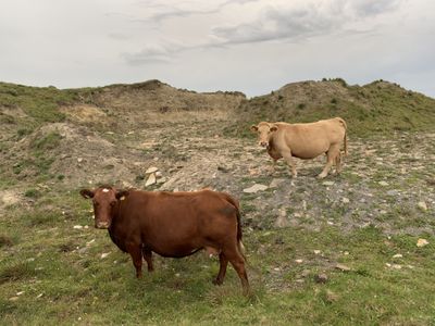 Photo taken in Lehinch, Munster, Ireland